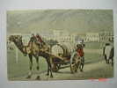 9555 ADEN CAMEL WATER CART  AÑOS / YEARS / ANNI  1910 OTHERS IN MY STORE - Zonder Classificatie