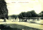 Au Bois De La Cambre - Forests, Parks