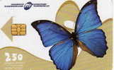 Macedonia / Phonecard Butterfly - Noord-Macedonië