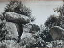 29 - TREGUNC - Dolmen De Kérouel. (CPSM) - Trégunc