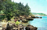 BARBADES BARBADOS SAINT JOSEPH  BATH COAST - Barbados (Barbuda)