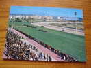 Hippodrome De Cagnes Sur Mer . French Riviera - Reitsport