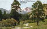 4583    Stati Uniti    Colorado  Mt. Ypsilon From Entrance To Y.M.C.A. Grounds  Estes Park NV  (scritta) - Rocky Mountains