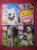 REVUES - CHIENS 2000- LOT DE 4 REVUES-N°81-82-84 De 1983  Et N° 100 De 1985 - Animals