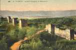 4804      Algeria     Tlemcen  Anciens Remparts De Mansourah  NV - Tlemcen