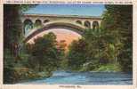 Philadelphia Pa. - Lane Bridge Over Wissahickon - Pont - Ciment - Concrete - Non Circulée - Philadelphia