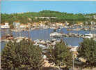 CP Saint Mandrier  Le Port Creux St Georges 83 Var Bateaux Voiliers - Saint-Mandrier-sur-Mer