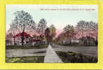 Main Street, Stamford, NY. 1900-10s - Catskills