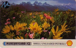 TC Grande-Bretagne MERCURY - Fleur TOURNESOL & Coquillage SHELL - OIL SUNFLOWER England  Flower Phonecard - Blume - 151 - Andere & Zonder Classificatie