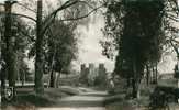 03 - BOURBON-L'ARCHAMBAULT - Le Parc Et Le Château (Ed Du Lys, N° 11) - Bourbon L'Archambault