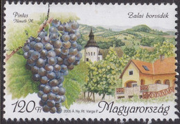 Specimen, Hungary Sc3938 Grapes, Wine Producing Area, Zala Region - Vins & Alcools