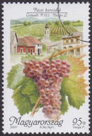 Specimen, Hungary Sc4037 Cirfandli Grapes, Wine Production, Pecs Region - Vini E Alcolici