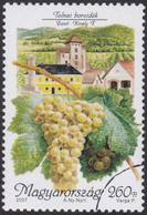Specimen, Hungary Sc4039 Zenit Grapes, Wine Production, Tolna Region - Vini E Alcolici