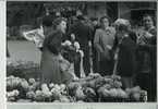 MARCHE A Anduze Devant Hotel De France En Novembre 1957 - Gard - 30 - Carte Postale De Photo Perso - Shopkeepers