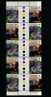 AUSTRALIA - 2001  CENTENARY OF FEDERATION  GUTTER  STRIP   MINT NH - Blocks & Sheetlets