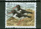 Iceland 1987 70k Haematopus Ostralegus Issue #644 - Gebruikt