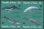 Série De Palau Sur Les Baleines. XX - Delfines