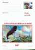 Entier Postal Roumain Sur Les Baleines (4) - Baleines