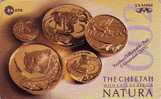 TC Puce Namibie - Pièce Monnaie Felin GUEPARD - CHEETAH Feline Coin Chip Phonecard - 38 - Sellos & Monedas