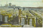 PARIS -  TEXAS - USA - TRANS-CONTINENTAL COMPRESS CO. ( COTTON ) - TONS OF BALES - WORKERS - 1909 - Sonstige & Ohne Zuordnung