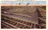 Kansas City - Stock Yards Cattle Animals - Travelled In 1943 - Otros & Sin Clasificación