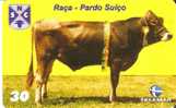 TARJETA DE BRASIL DE UNA VACA (COW-VACA) (6-10) - Koeien