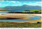 Irland Clew Bay Und Croagh Patrick - Other & Unclassified