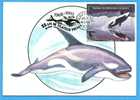 ROMANIA Maxi Card / Maximumcard. ORCA. Block 2 Scan - Baleines