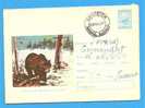 ROMANIA 1964 Postal Stationery Cover. Bear. Ours Hunting - Ours