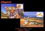 ASIA. CHINA. ENTEROS POSTALES. TARJETAS MÁXIMAS 2004. FAUNA. TIGRES. - Maximumkarten