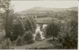 CP De TREIGNES " Le Vieux Pont " . - Viroinval