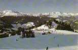 Whistler Mountain - British Columbia Canada B.C. - Ski Skiing - Circulée - Voir Recto Verso - Otros & Sin Clasificación