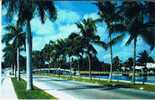 USFlorida Fort Lauderdale Las Olas Boulevard - Fort Lauderdale