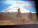 Equateur El Chimborazo - Equateur