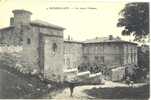 Delcampe - Carte Postale   LE VIEUX CHATEAU            ROUSSILLON     38150   ISERE - Roussillon