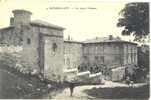 RARE CARTE POSTALE         ROUSSILLON      LE VIEUX CHATEAU - Roussillon