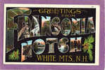 Big Letters Greetings, Franconia Notch, NH.  1910-20s - White Mountains