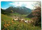 74 - CHATEL - LE VILLAGE - LA VALLEE De L'ESSERT - LE MASSIF Du LINGA - - Châtel