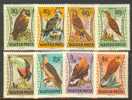 HUNGARY 1962 BIRDS MNH - Ungebraucht