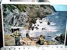 CANADA NEWFOUNDLAND'S RUGGED COASTLINE ANIME PAINTIG ARTIST V1959 CK5611 BIGILETTO CARD - Sonstige & Ohne Zuordnung