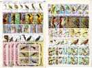 BIRDS -  Lot Of  40  Full Set - Used  (O) - Collections, Lots & Séries