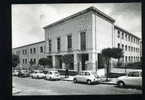 S1625 CARTOLINA ILLUSTRATA CALABRIA VIBO VALENTIA LICEO GINNASIO AUTOMOBILE FIAT 600 FG. V. - Vibo Valentia