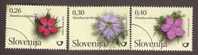 Slovenia 26-3-2010, Flowers, Carnations, 3v MNH(specimen) - Zonder Classificatie