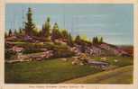 Kitchener Ontario - Rock Garden - Jardin - 1956 - PECO #18 - Non Circulée - Andere & Zonder Classificatie