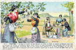 MARSEILLE (13) Carte Publicitaire La Figatine Illustrée Par Coulange Lautrec Récolte - Unclassified