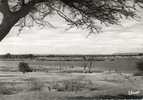 Niger , Niamey , Les Bords Du Fleuve. Cpsm Gd Format. - Níger