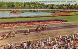 Hialeah FL - Horse Race - 1950´s - Curteich Original Linen C.103 - Mint Never Used - Animated - Reitsport