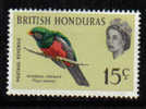 Britisch-Hondoras-1962-Vögel (170 Y)postfrisch,** - Belice (1973-...)