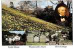 CP ANGLETERRE WORDSWORTH 'S GRAVE RYDAL MOUNT PORTRAIT DOVE COTTAGE - Otros & Sin Clasificación