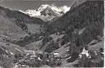 43552.BINN 1401 M. WALLIS.  OFENHORN. - Binn